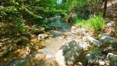 Çamçayı Deresi, Hacıosmanlar (Seydikemer) Fotoğraf 8