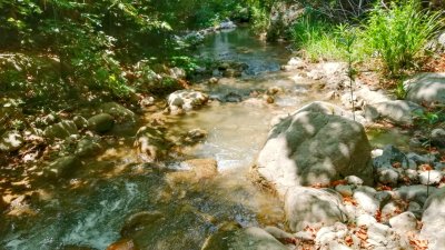 Çamçayı Deresi, Hacıosmanlar (Seydikemer) Fotoğraf 9