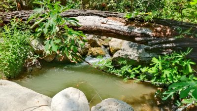 Çamçayı Deresi, Hacıosmanlar (Seydikemer) Fotoğraf 6
