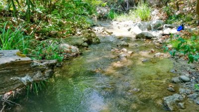 Çamçayı Deresi, Hacıosmanlar (Seydikemer) Fotoğraf 3