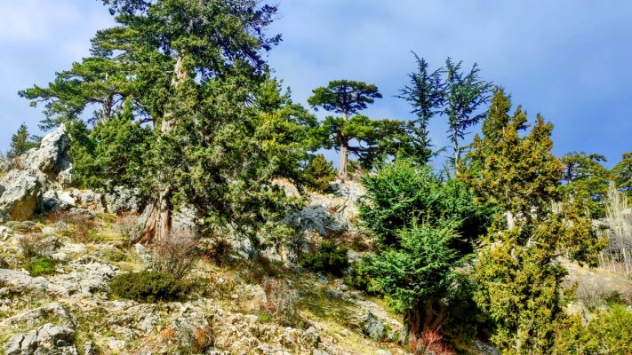 Gökbel Yaylası (Bayır)