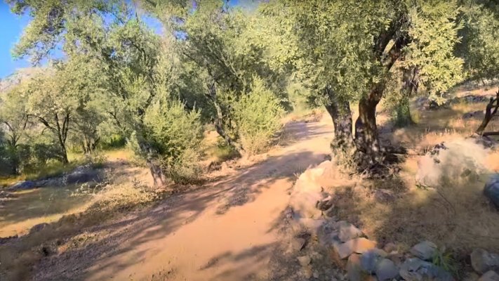 Saklıkent ATV Tour (The Olive Groves Trail)